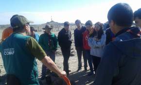 Atacama un poco más verde: Jóvenes scouts plantaron árboles en Caldera [FOTOS] 