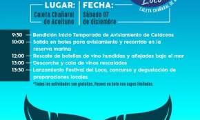 Este fin de semana Chañaral de Aceituno se vive con todo con el primer Festival del Loco y la apertura de la temporada de avistamiento de cetáceos 