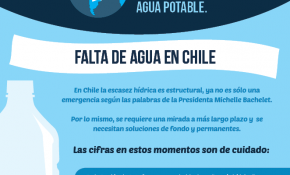 [Infografía] El agua, recurso esencial para Chile y el mundo