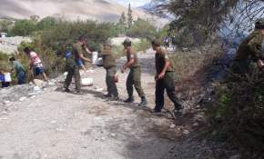 Con cadenas humanas y baldes pobladores y Carabineros lograron apagar incendio de pastizales en Valle El Tránsito [FOTOS] 