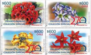 ¡Notable! Conmemoran 270 años del correo en Chile con colección postal dedicada al desierto florido